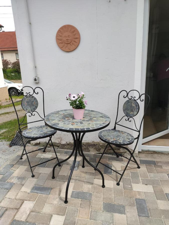 Ferienhaus Blaue Blume Mit 11 Kw Ladestation, Kamin, Terrasse, Eingezaeuntem Garten, Sauna, Wlan, Netflix, 2 Hunde Willkommen! Güntersberge Exteriér fotografie