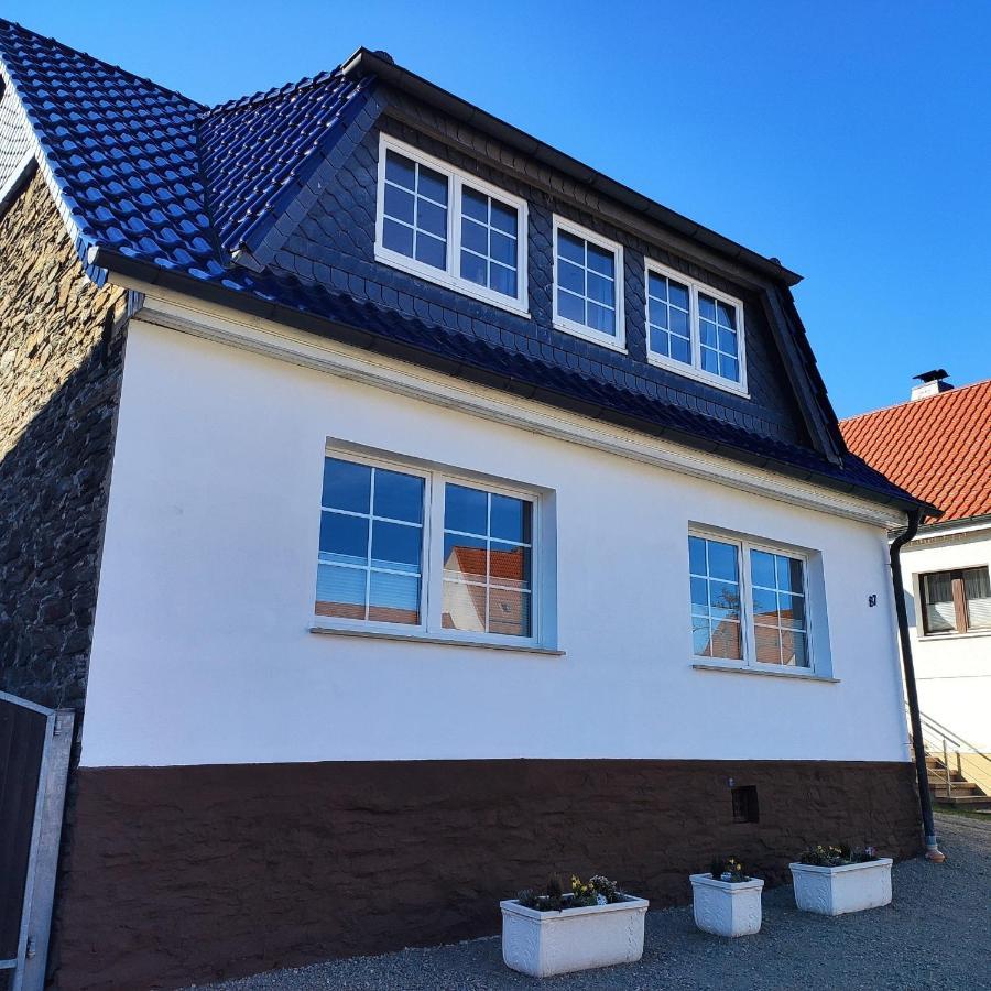 Ferienhaus Blaue Blume Mit 11 Kw Ladestation, Kamin, Terrasse, Eingezaeuntem Garten, Sauna, Wlan, Netflix, 2 Hunde Willkommen! Güntersberge Exteriér fotografie