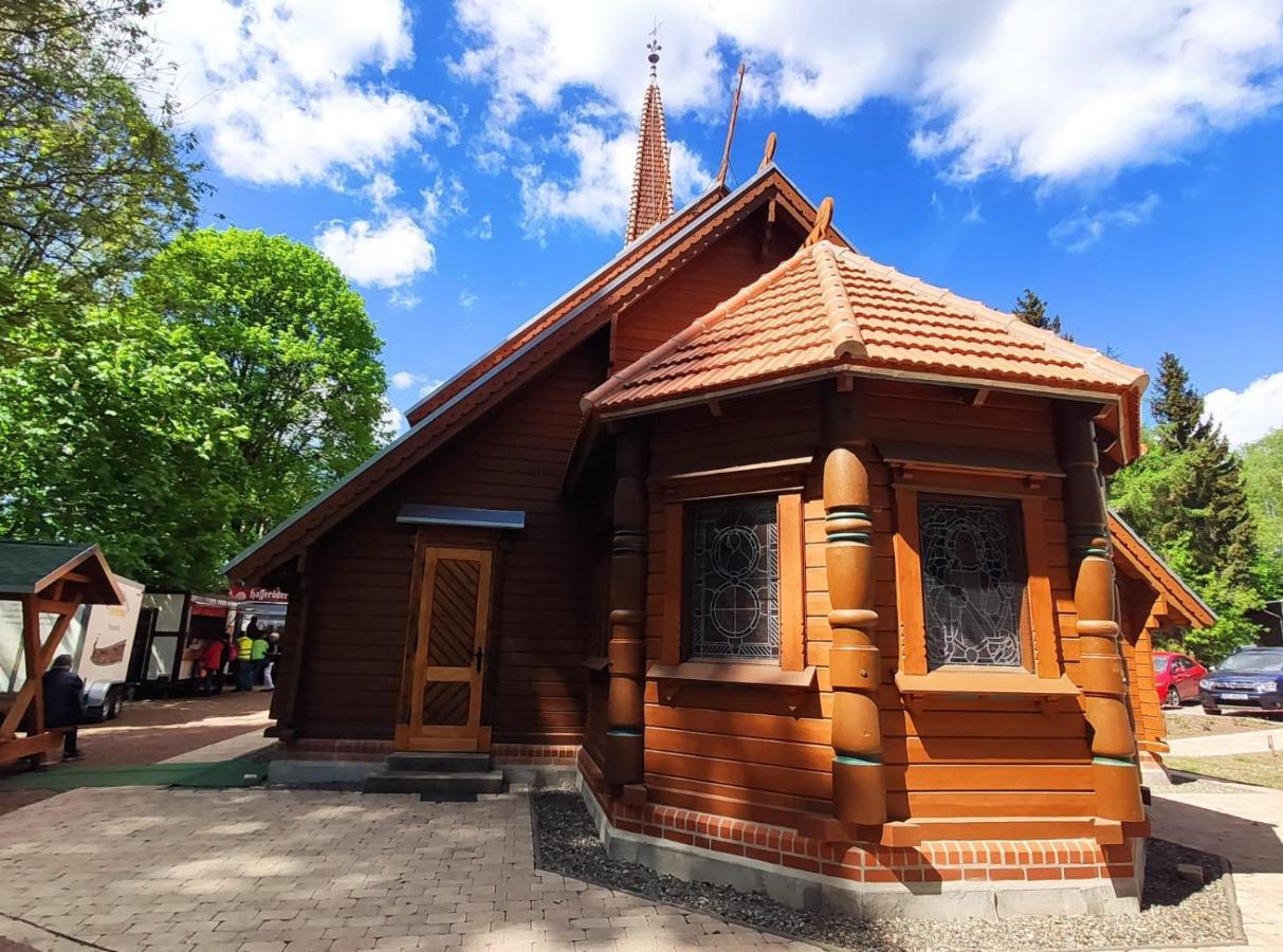 Ferienhaus Blaue Blume Mit 11 Kw Ladestation, Kamin, Terrasse, Eingezaeuntem Garten, Sauna, Wlan, Netflix, 2 Hunde Willkommen! Güntersberge Exteriér fotografie