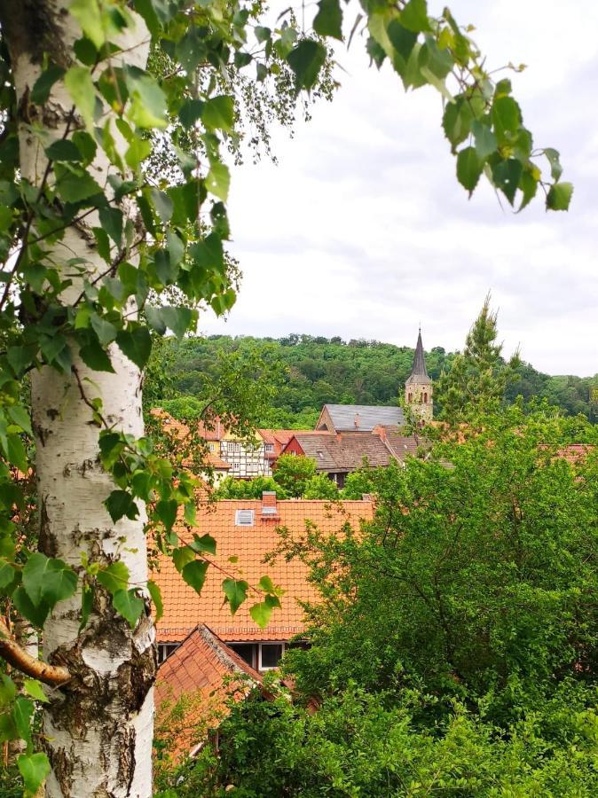 Ferienhaus Blaue Blume Mit 11 Kw Ladestation, Kamin, Terrasse, Eingezaeuntem Garten, Sauna, Wlan, Netflix, 2 Hunde Willkommen! Güntersberge Exteriér fotografie