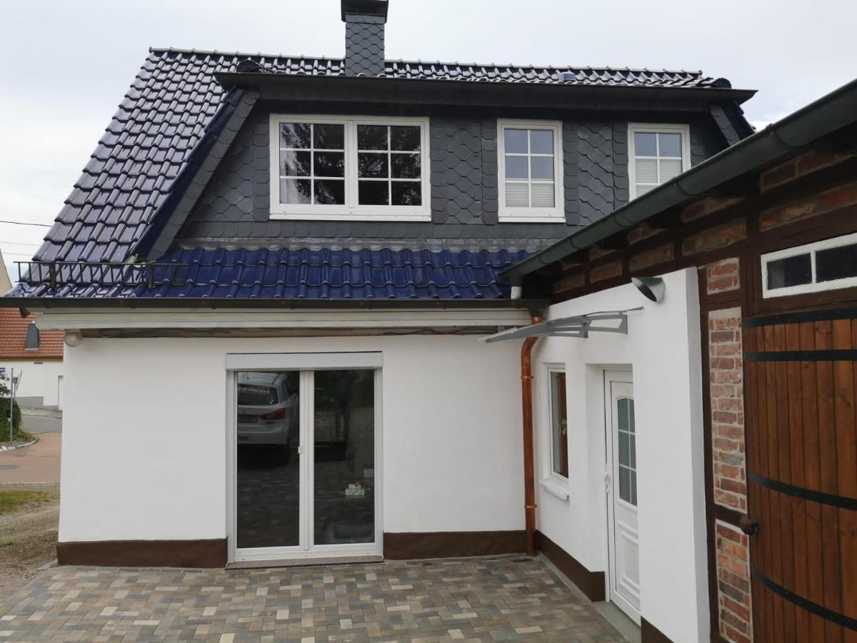 Ferienhaus Blaue Blume Mit 11 Kw Ladestation, Kamin, Terrasse, Eingezaeuntem Garten, Sauna, Wlan, Netflix, 2 Hunde Willkommen! Güntersberge Exteriér fotografie