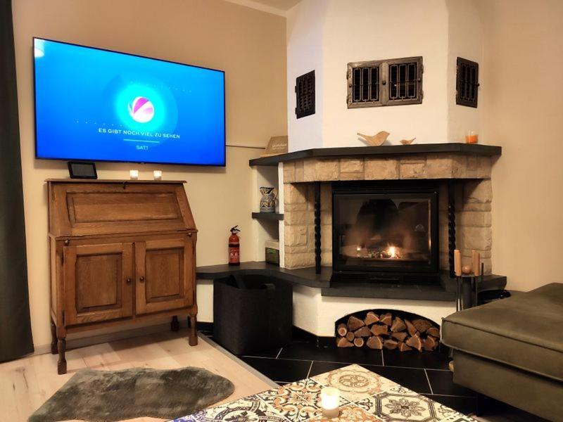 Ferienhaus Blaue Blume Mit 11 Kw Ladestation, Kamin, Terrasse, Eingezaeuntem Garten, Sauna, Wlan, Netflix, 2 Hunde Willkommen! Güntersberge Exteriér fotografie