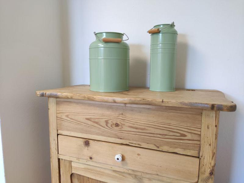 Ferienhaus Blaue Blume Mit 11 Kw Ladestation, Kamin, Terrasse, Eingezaeuntem Garten, Sauna, Wlan, Netflix, 2 Hunde Willkommen! Güntersberge Exteriér fotografie