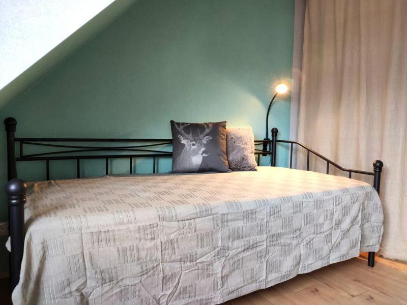 Ferienhaus Blaue Blume Mit 11 Kw Ladestation, Kamin, Terrasse, Eingezaeuntem Garten, Sauna, Wlan, Netflix, 2 Hunde Willkommen! Güntersberge Exteriér fotografie